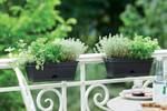 green basics balkonbak mini 30cm living black